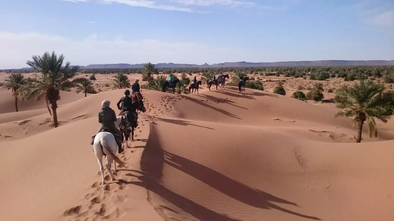 randonnée cheval montbel