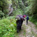Les Pyrénées cathares à cheval
