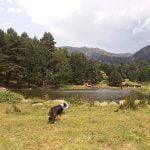 Randonnée des 3 pays