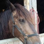 Randonnée des 3 pays