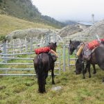 Randonnée des 3 pays