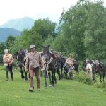La Transhumance, la montée