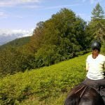 La Transhumance, la montée
