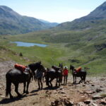 Lacs de montagne