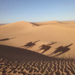 Maroc - La chevauchée du désert