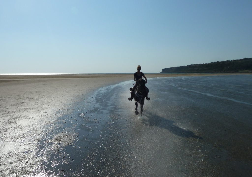 Randonnée cheval mer méditerrannée