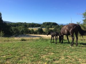 Mérens au centre du Soularac