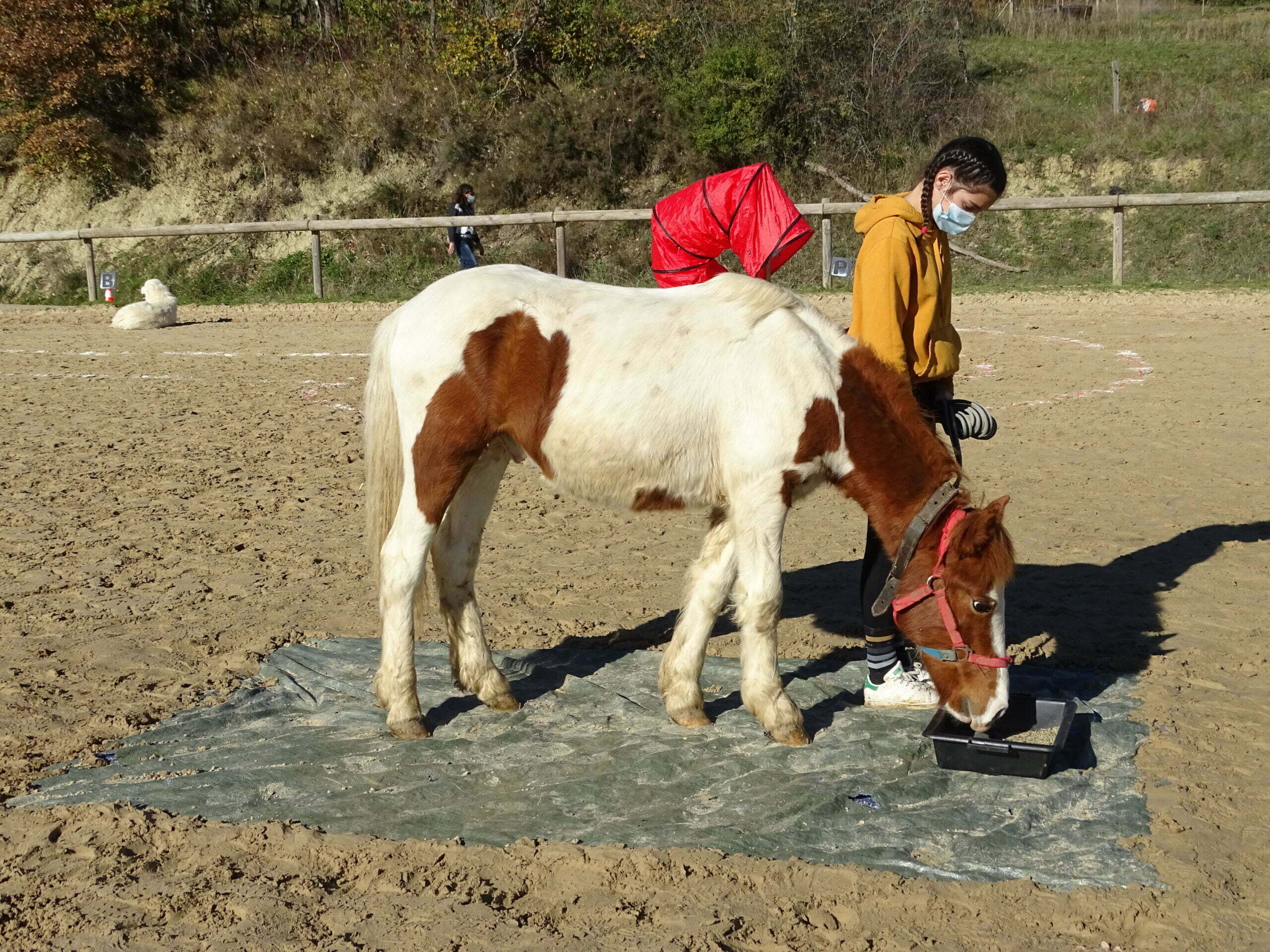 Jerry de la rhune – Image 3