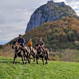 Les Pyrénées cathares à cheval