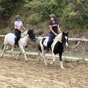 Cours passager