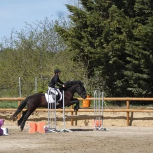 Passage galop