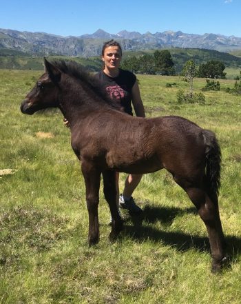 Chloé et poulain Mérens en estive